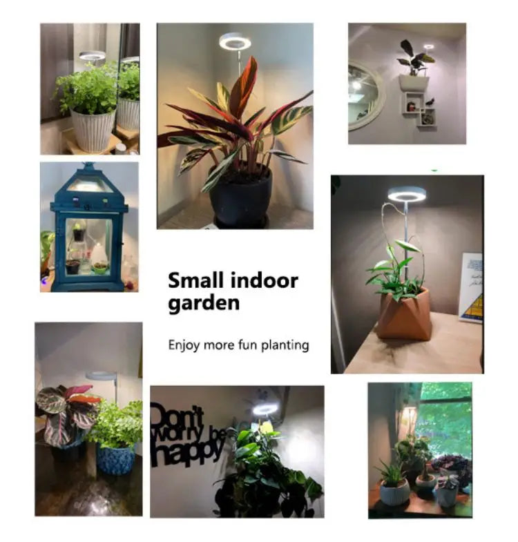 LED Indoor Angel Ring Plant Growth Light 2/4/8H On/Off Timer USB 5V Retractable Height Full Spectrum Simulated Sunlight Plant