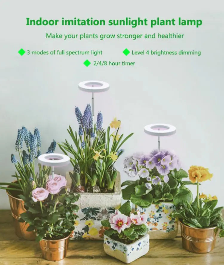 LED Indoor Angel Ring Plant Growth Light 2/4/8H On/Off Timer USB 5V Retractable Height Full Spectrum Simulated Sunlight Plant