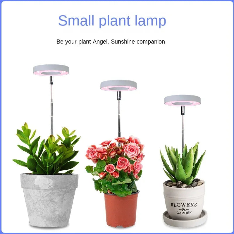 LED Indoor Angel Ring Plant Growth Light 2/4/8H On/Off Timer USB 5V Retractable Height Full Spectrum Simulated Sunlight Plant