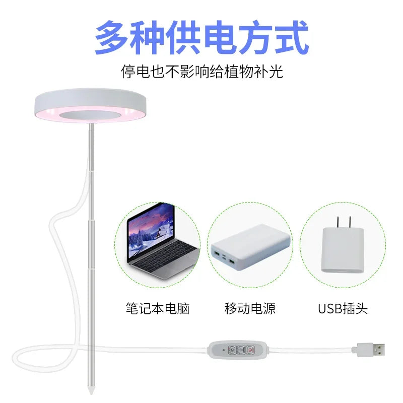 LED Indoor Angel Ring Plant Growth Light 2/4/8H On/Off Timer USB 5V Retractable Height Full Spectrum Simulated Sunlight Plant