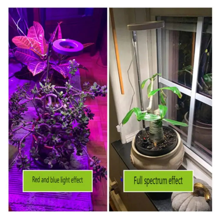 LED Indoor Angel Ring Plant Growth Light 2/4/8H On/Off Timer USB 5V Retractable Height Full Spectrum Simulated Sunlight Plant